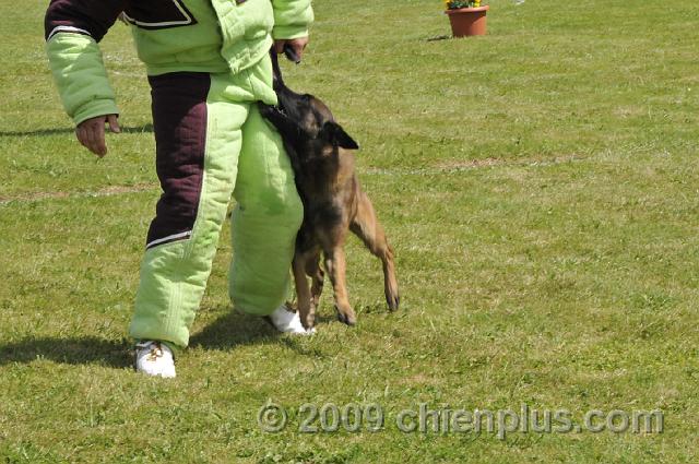 _DSC5602.JPG - CHIENPLUS.COM