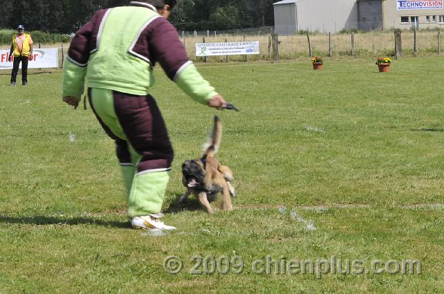_DSC5652.JPG - CHIENPLUS.COM