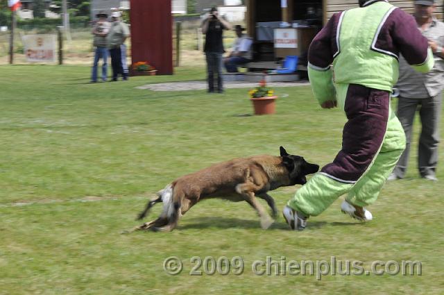 _DSC5669.JPG - CHIENPLUS.COM