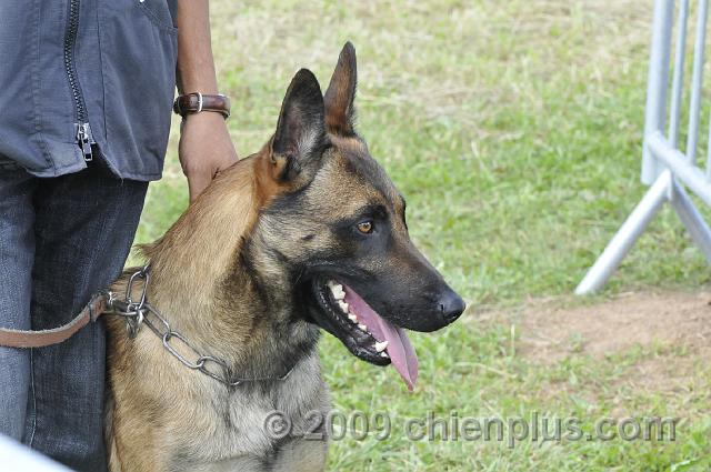 _DSC5683.JPG - CHIENPLUS.COM
