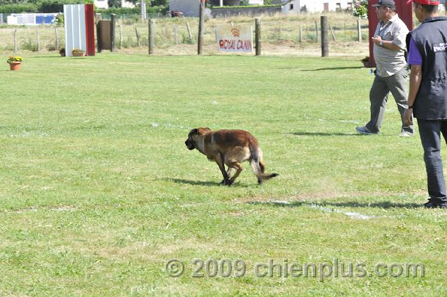 _DSC5688.JPG - CHIENPLUS.COM