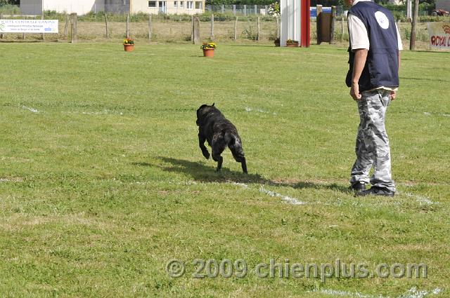 _DSC5829.JPG - CHIENPLUS.COM