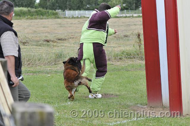 _DSC5875.JPG - CHIENPLUS.COM