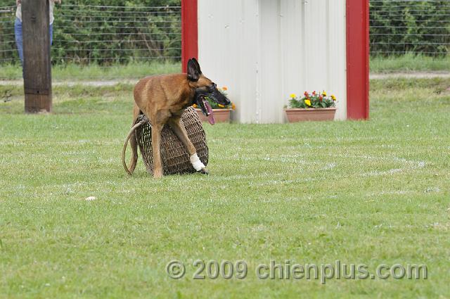 _DSC6084.JPG - CHIENPLUS.COM