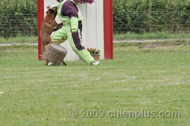 _DSC6096.JPG - CHIENPLUS.COM