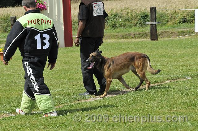 _DSC6386.JPG - CHIENPLUS.COM