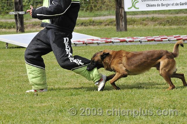 _DSC6466.JPG - CHIENPLUS.COM