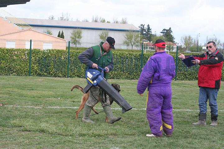 Mondioring-III-106.jpg