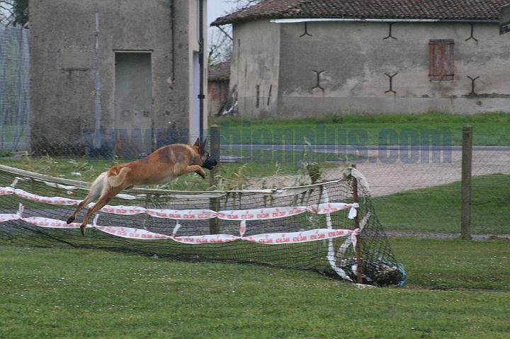Mondioring-II-201.jpg