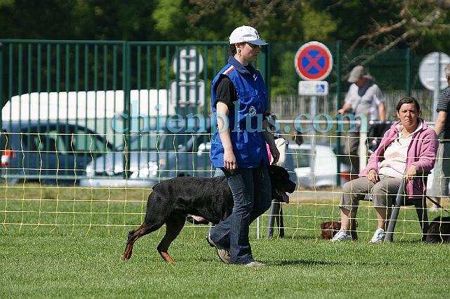 DSC05785.jpg