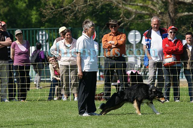 DSC05866.jpg