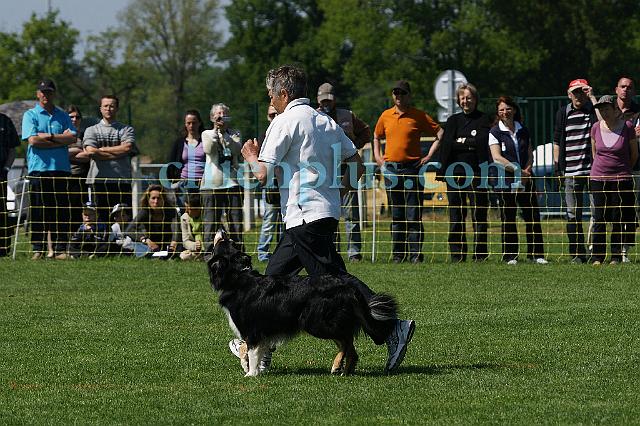 DSC05911.jpg