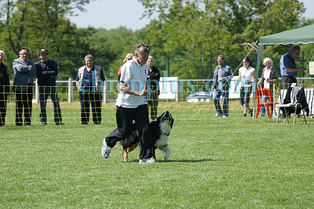 DSC05914.jpg
