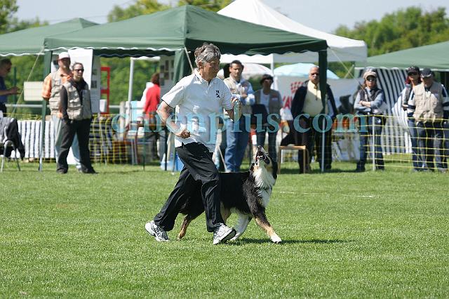 DSC05916.jpg