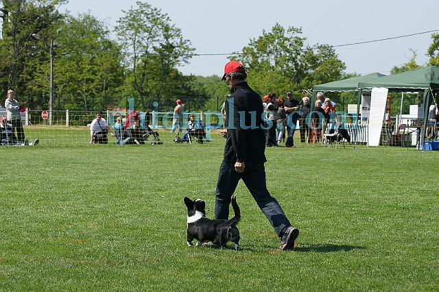 DSC05964.jpg