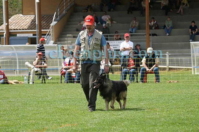 DSC05988.jpg