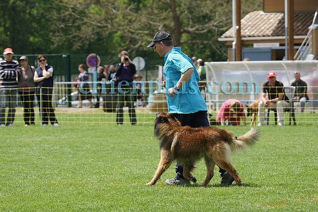 DSC06082.jpg