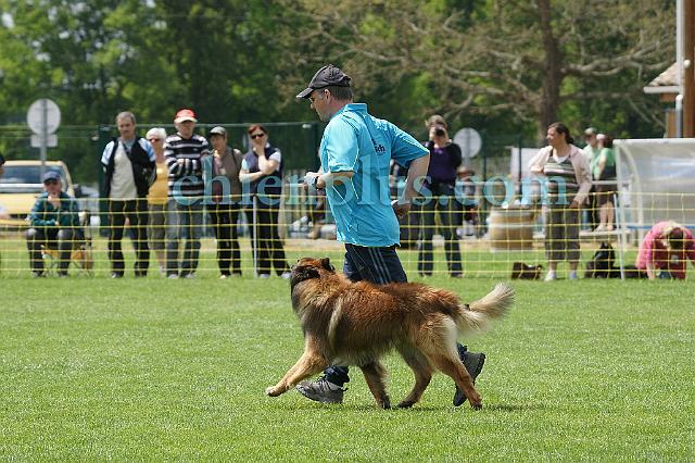 DSC06084.jpg