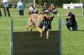 DSC05859