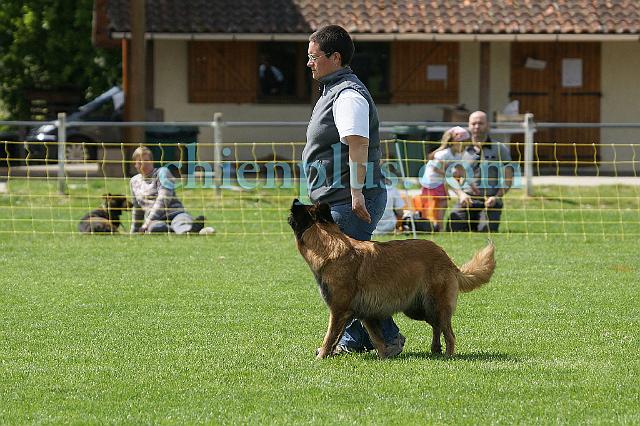 DSC06266.jpg