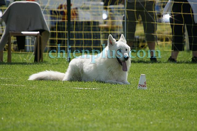 DSC06423.jpg