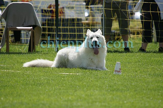 DSC06426.jpg