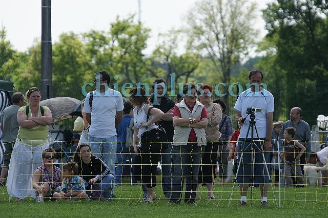 DSC06475.jpg