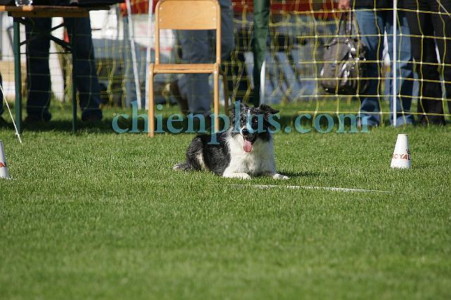 DSC05570.jpg