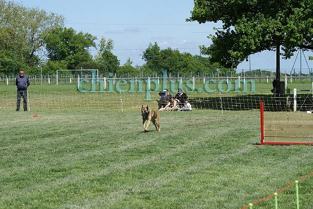 DSC01566.jpg