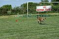DSC01569