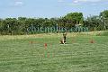 DSC01571