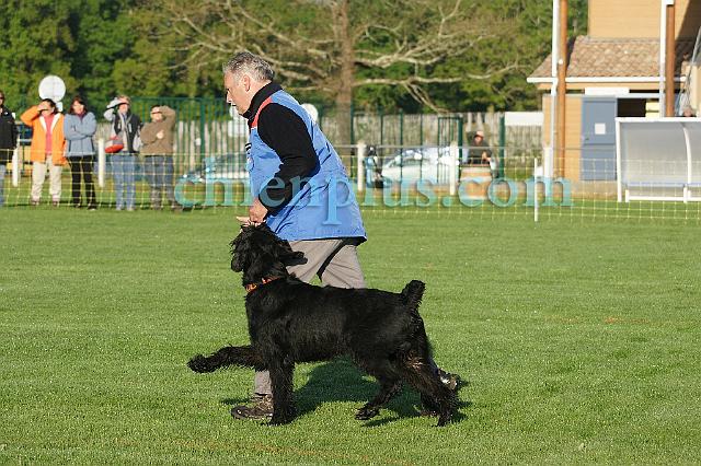 DSC03929.jpg