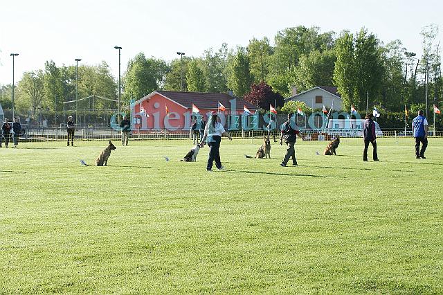 DSC03989.jpg