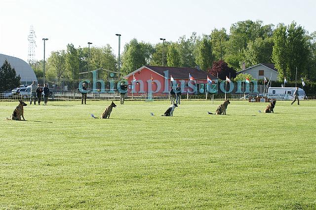 DSC03990.jpg