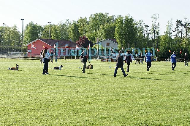 DSC04033.jpg