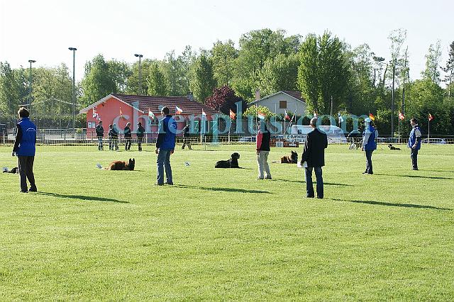 DSC04174.jpg