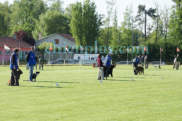 DSC04186.jpg