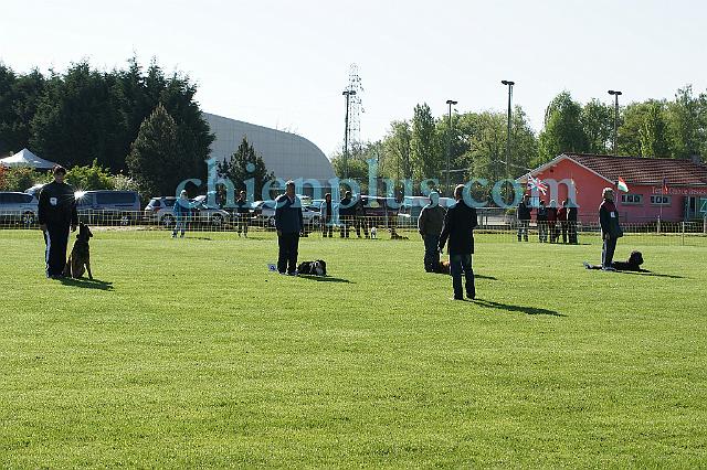 DSC04252.jpg