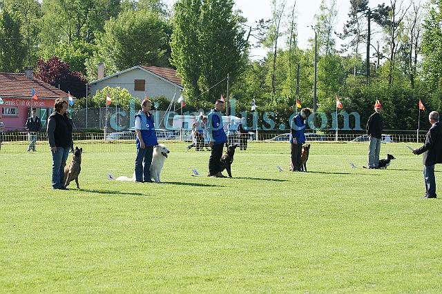 DSC04305.jpg