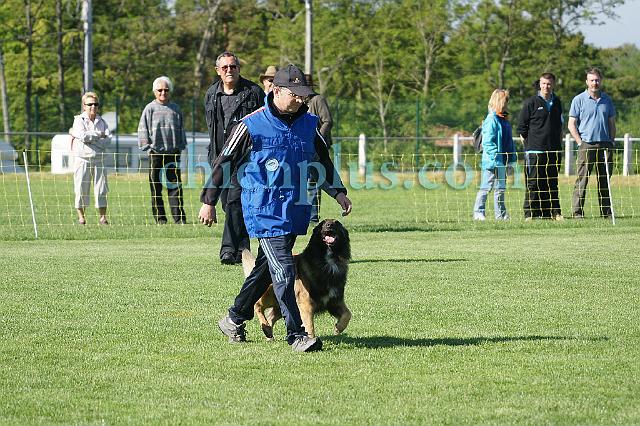 DSC04306.jpg