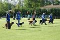 DSC04189