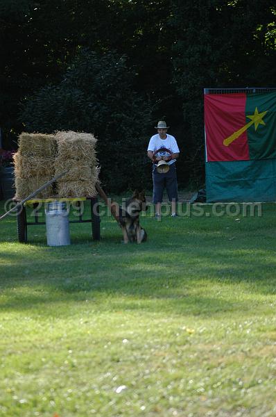 DSC_0038.JPG
