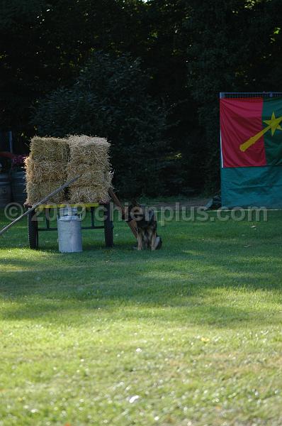 DSC_0039.JPG
