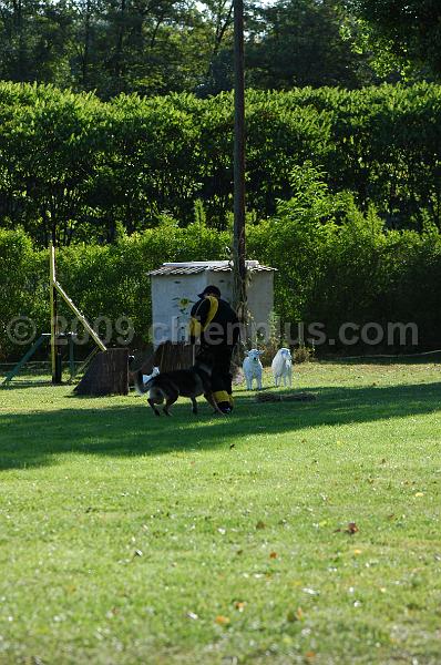 DSC_0072.JPG
