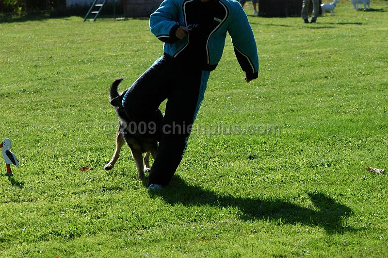 DSC_0084.JPG