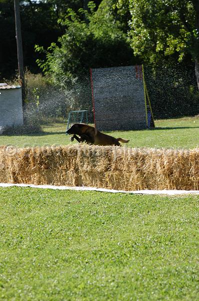 DSC_0090.JPG