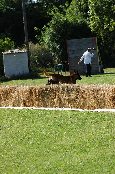 DSC_0101.JPG