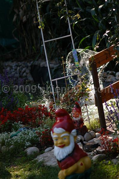 DSC_0119.JPG