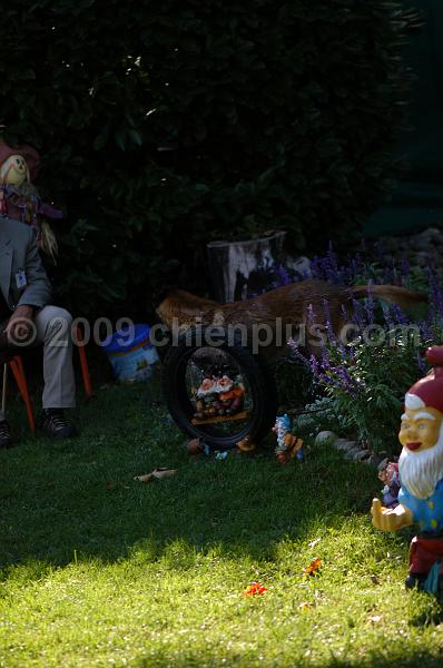 DSC_0121.JPG