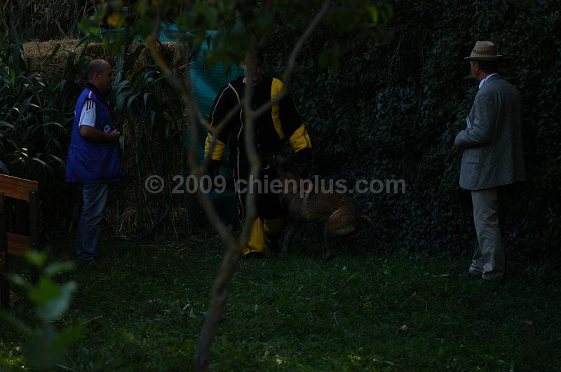 DSC_0125.JPG